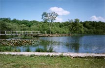 A view of the 6 acre coarse lake at Bron Eifion